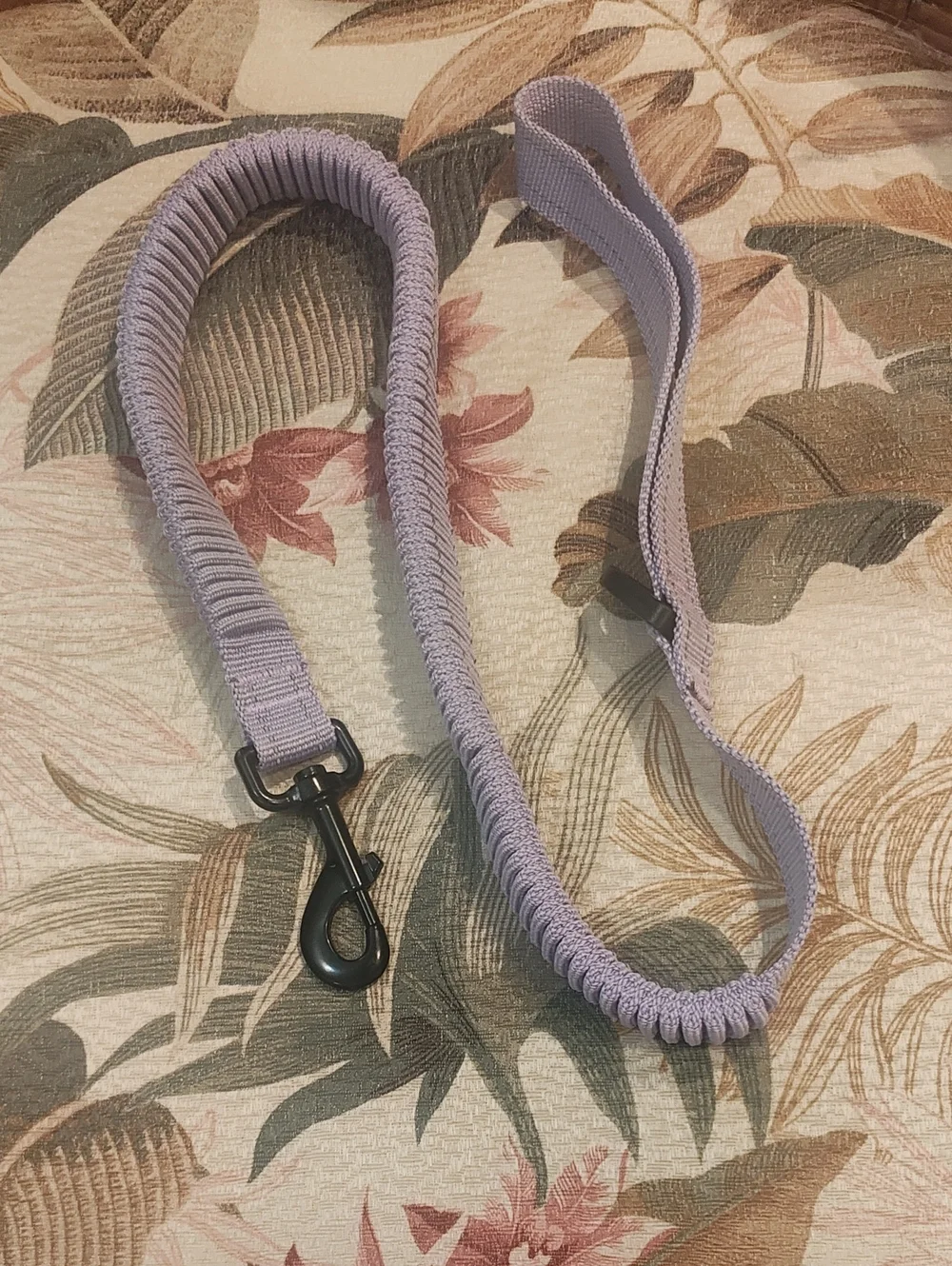 PETS: DOG LEASH - STRETCHY